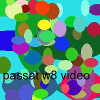 passat w8 video