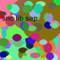 snc lib sap