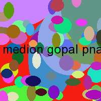 medion gopal pna470